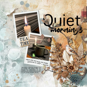 Quiet Mornings