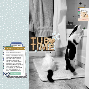 092024IC-Seeing