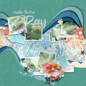 Hello There Ray