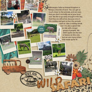 Wild Safari