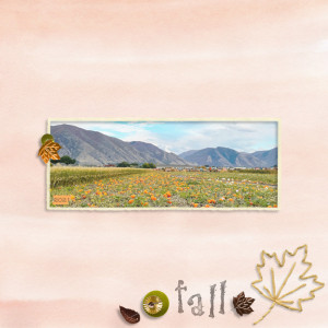 Fall