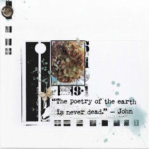 Poetry-of-the-earth