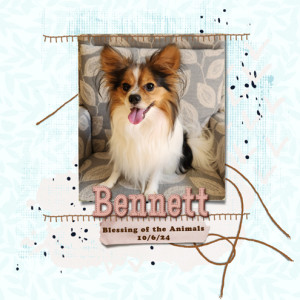 Bennett---Blessing-of-the-Animals