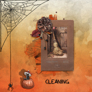 Cleaning