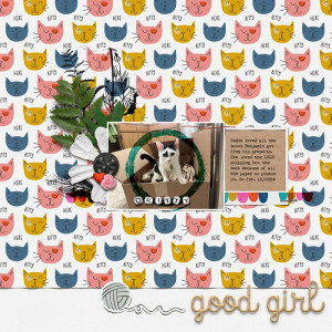 Dsd2024-MonSSsmall