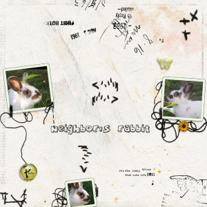 Neighbo'rs Rabbit