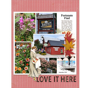 Fortunate-Find_flowersgal_sq_web
