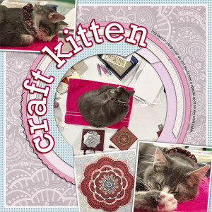 Craft Room Kitten