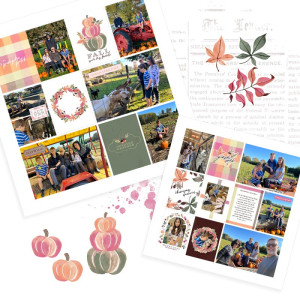changing seasons at the pumpkin patch