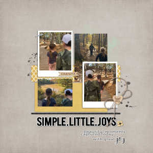 Simple Joys
