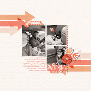 Switching Fields