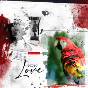 Photo Love
