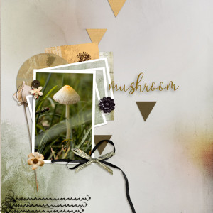Mushrooms