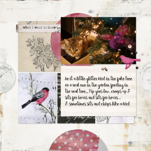 221209_pip Chirp