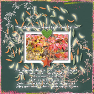 The-Beautiful-Changes