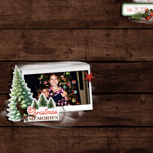 Christmas Memories