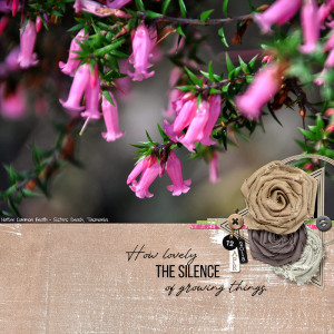 THE SILENCE