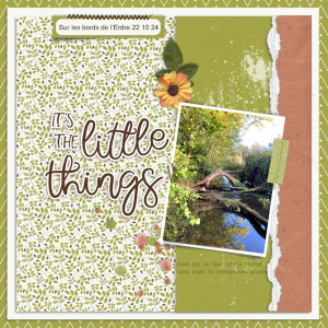 November Inspiration Challenge
