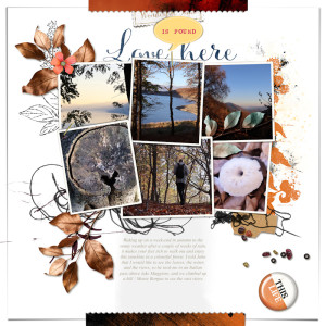 241102_autumn Views