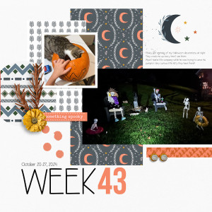Week-43L