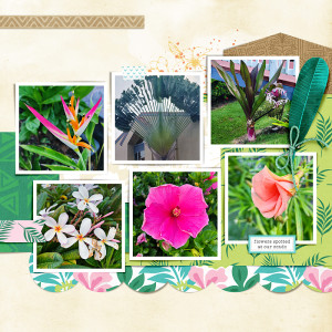 Hawaii - First Day Flowers