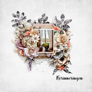 Herinneringen (Memories)