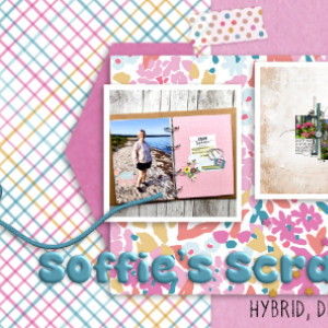 SwL_CoverTemplate11-ngdRE-BonaFide