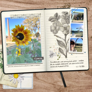 November Sunflowers