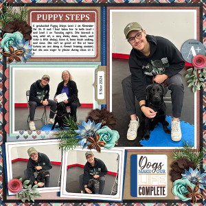 Puppy Steps