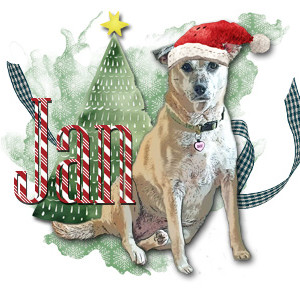 Siggy_Dec