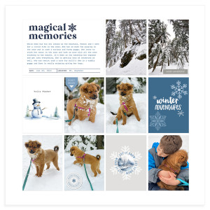 Snowflakes and puppy love