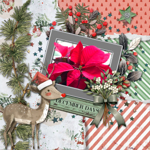 Inspirartion_Dec_janisn