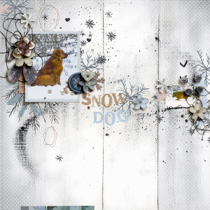 Snow Dog