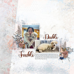 DoubleTrouble