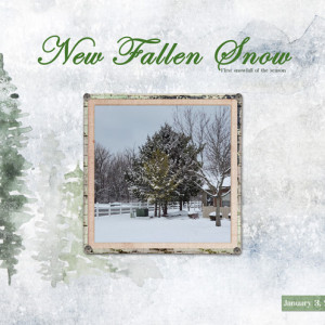 New-Fallen-Snow