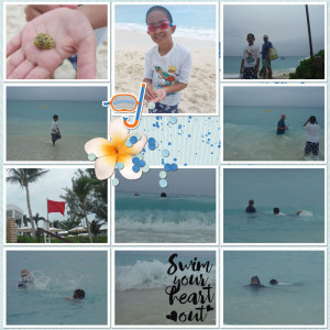 Jan-9-2013-2pg-Layout-2