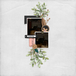 01-Scraplift