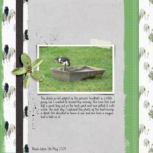 MOC2013_Day6_Imperfect Photo - Bird Bath