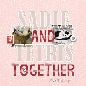 012025SP_Cover