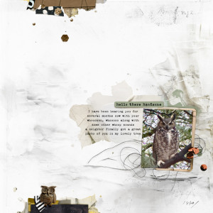 Owl-templatechallenge-copy