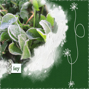 MOC2013_Day14_Doodles_Frost on the clover