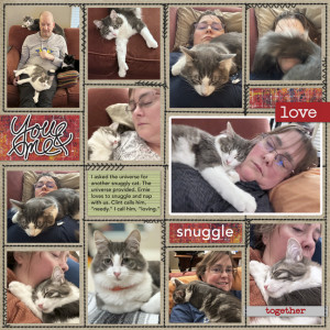 Ernie The Snuggle Cat