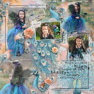 Pretty Little Peacock