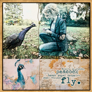 Peacock
