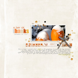 2010-Our-Day-of-Thanks
