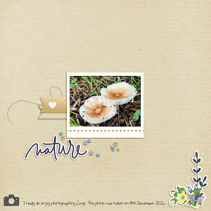 MOC2013_Day24_Embellish a Quick Page_Fungi