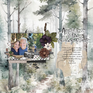 A Walk In The Woods