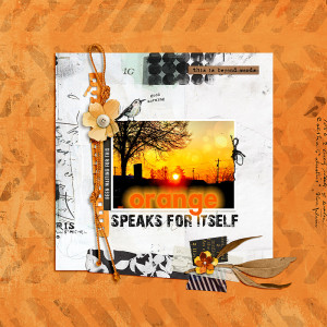 Orange Speaks For Itself