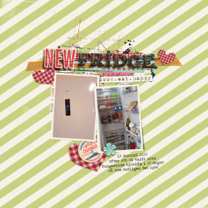 New Fridge