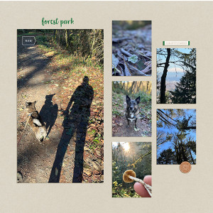 Forest Park Hike